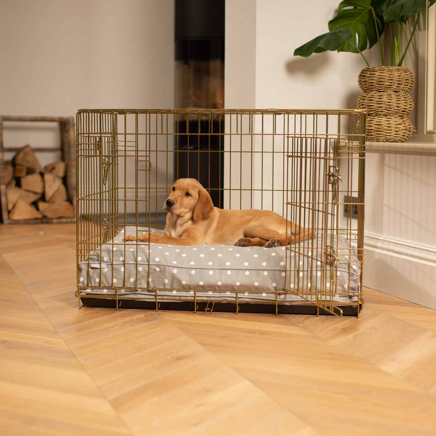 Discover Our Heavy-Duty Dog Crate With Spots & Stripes Grey Spot Cushion! The Perfect Crate Accessories. Available To Personalise Here at Lords & Labradors