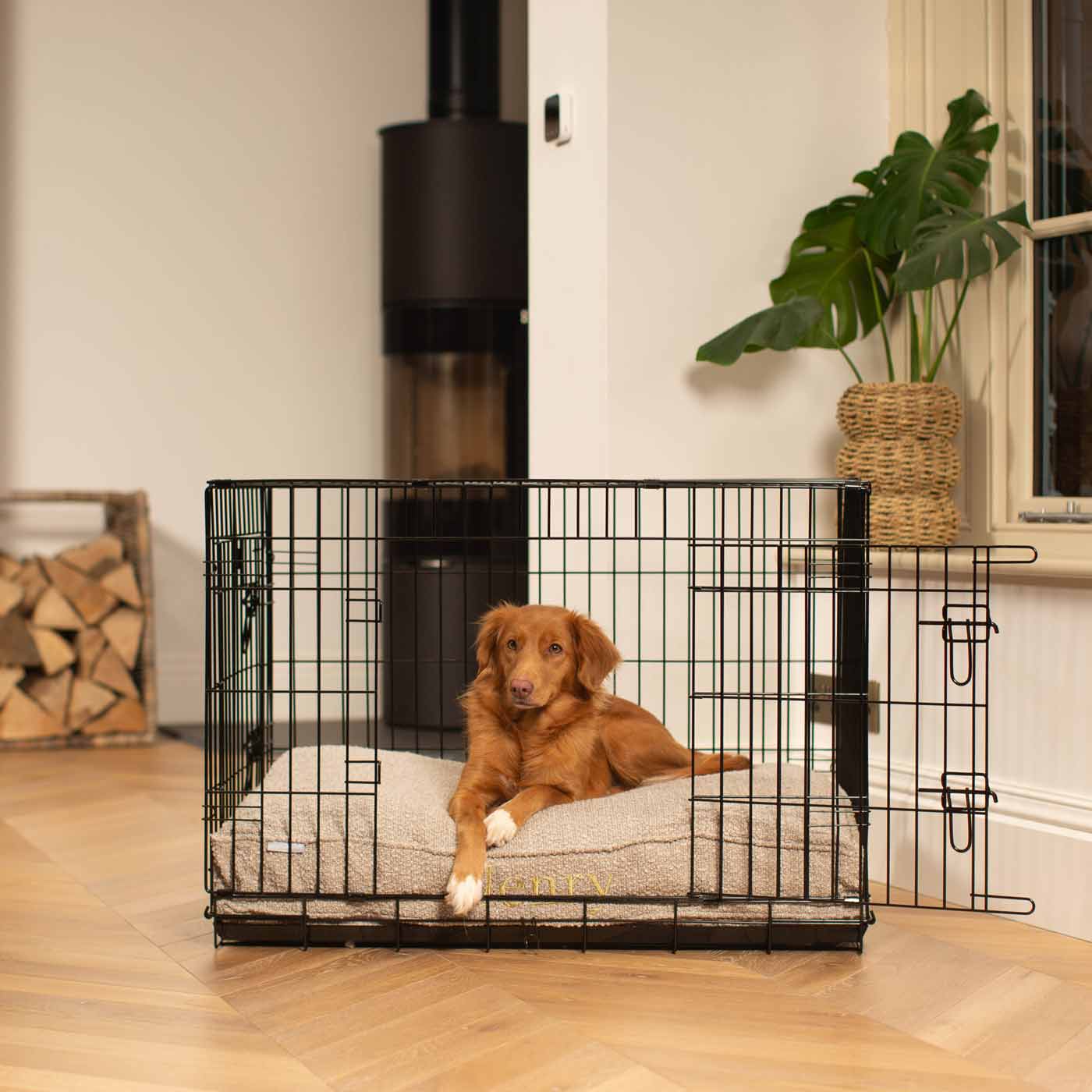B & m dog crate 2025