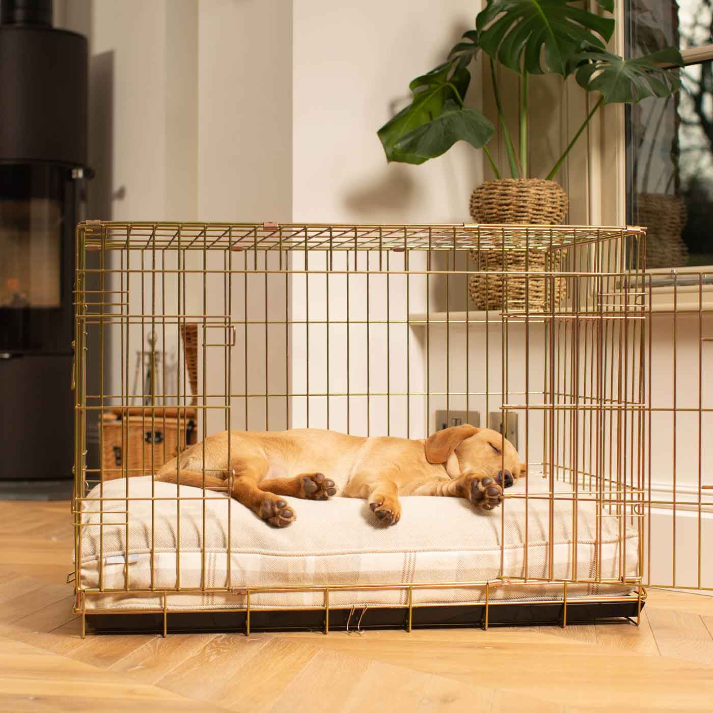 Luxury Dog Crate Cushion, Natural Tweed Crate Cushion! Perfect Dog Crate Accessory, Available To Personalise Now at Lords & Labradors