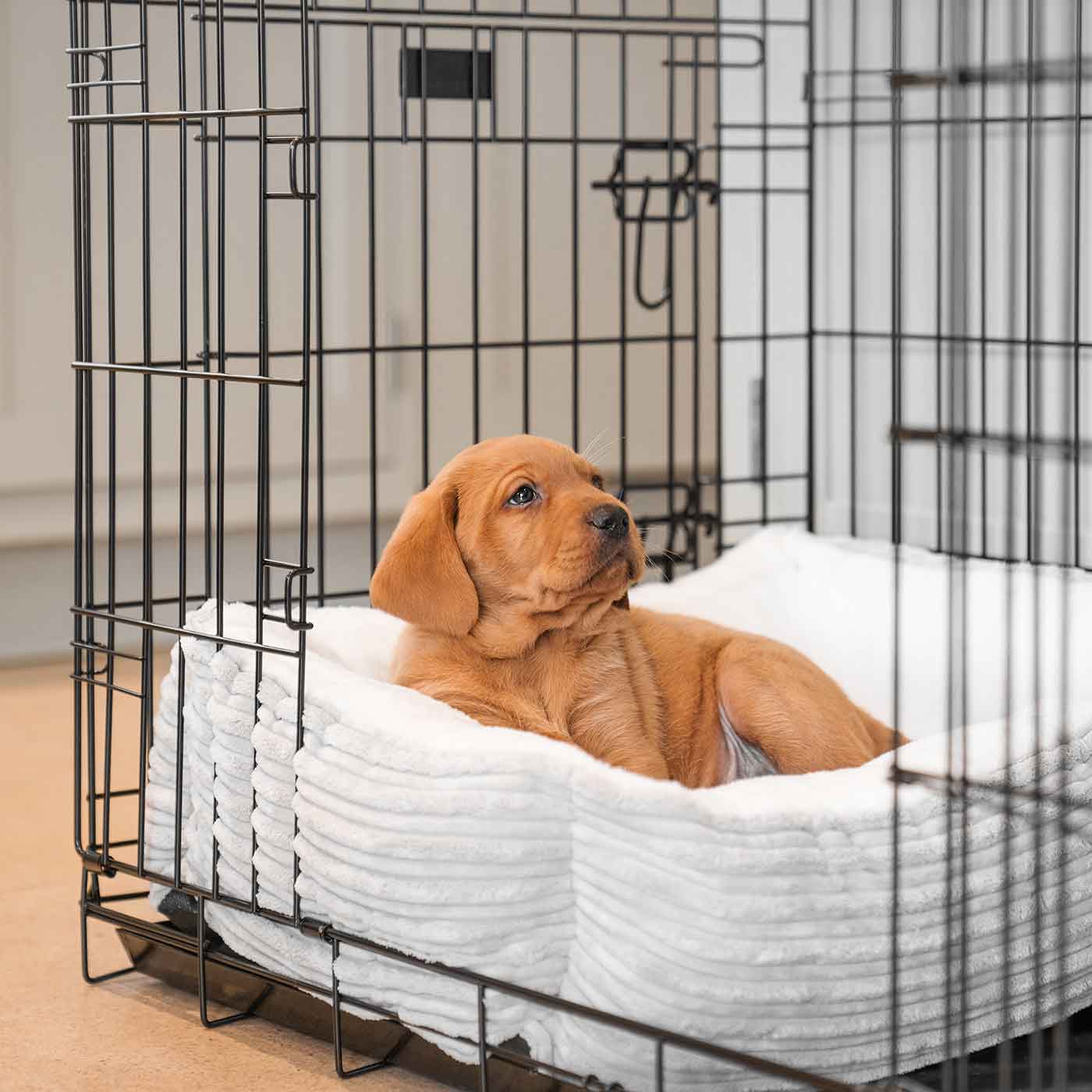 Beautiful view of Puppy Crate Bed For Small Spaces