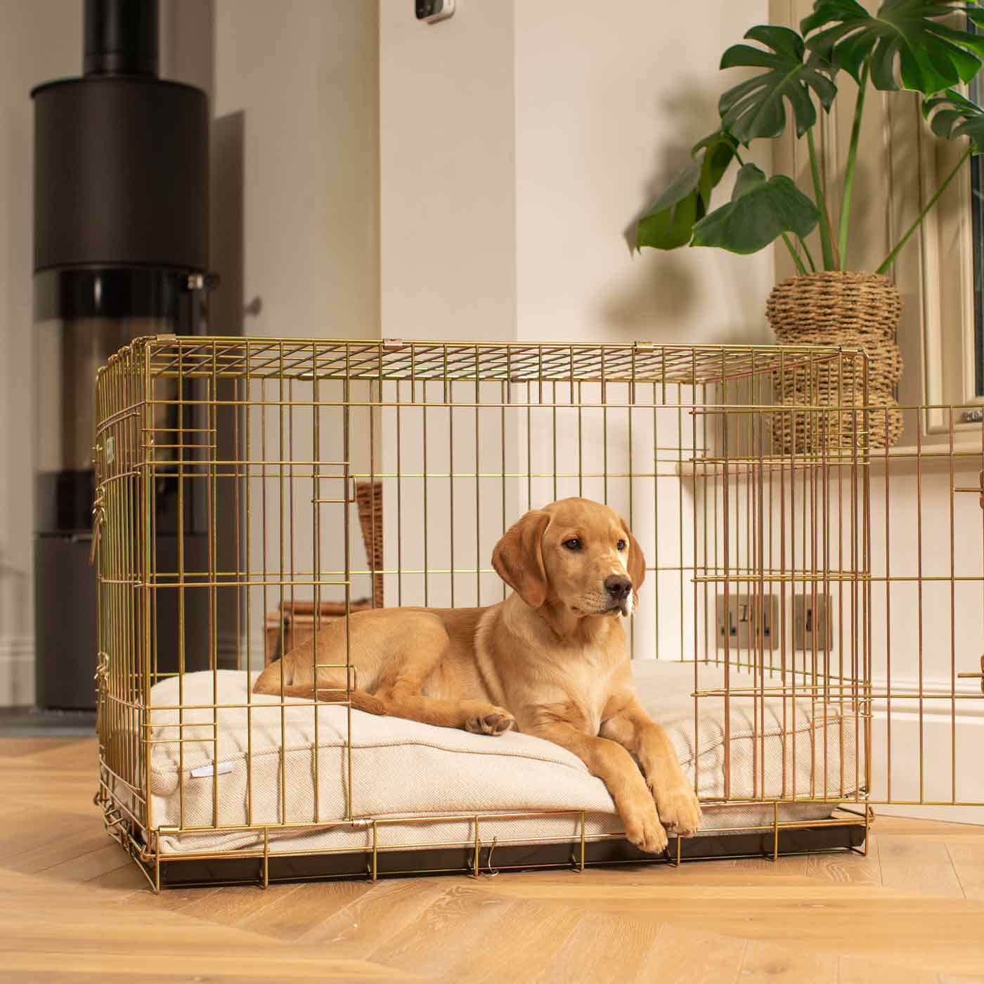 Luxury Dog Crate Cushion, Natural Herringbone Tweed Crate Cushion The Perfect Dog Crate Accessory, Available To Personalise Now at Lords & Labradors