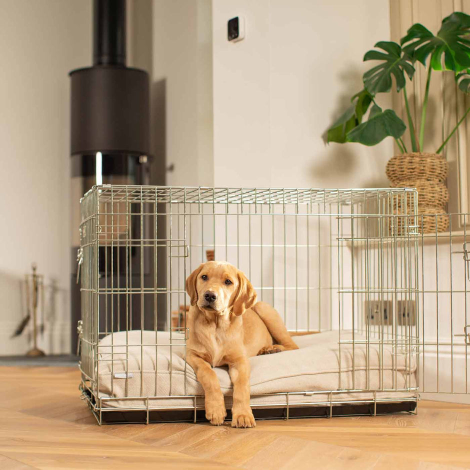 Picture of Wooden White Wash Open Dog Crate | Lords & Labradors Dog Crate