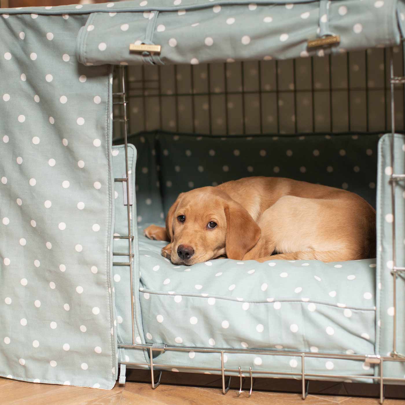 Dog crate hotsell for labrador