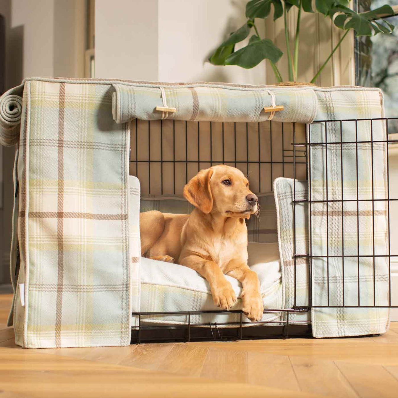 Image showcasing Balmoral Duck Egg Tweed Crate Set | Dog Crate Set | Lords & Labradors