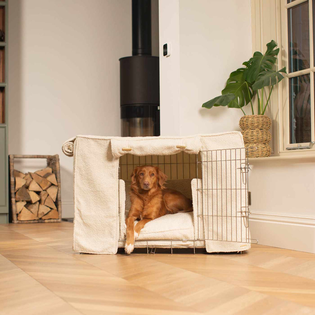 The Complete Dog Crate Guide L&L Info Hub Lords & Labradors