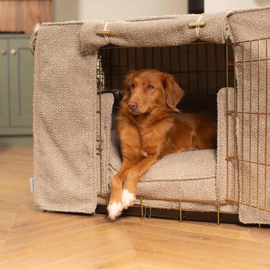 Deluxe Gold Dog Crate Metal Dog Crates Lords & Labradors