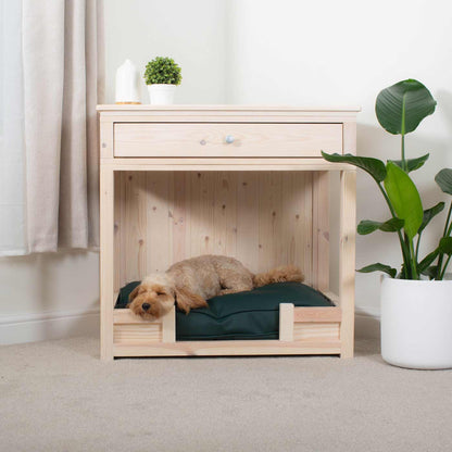 Wooden Salcombe Open Dog Crate with Drawer by Lords & Labradors