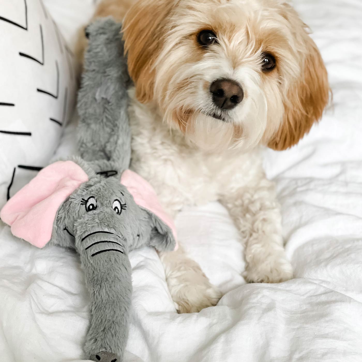 Mad About Pets Wild Crinkler Elephant