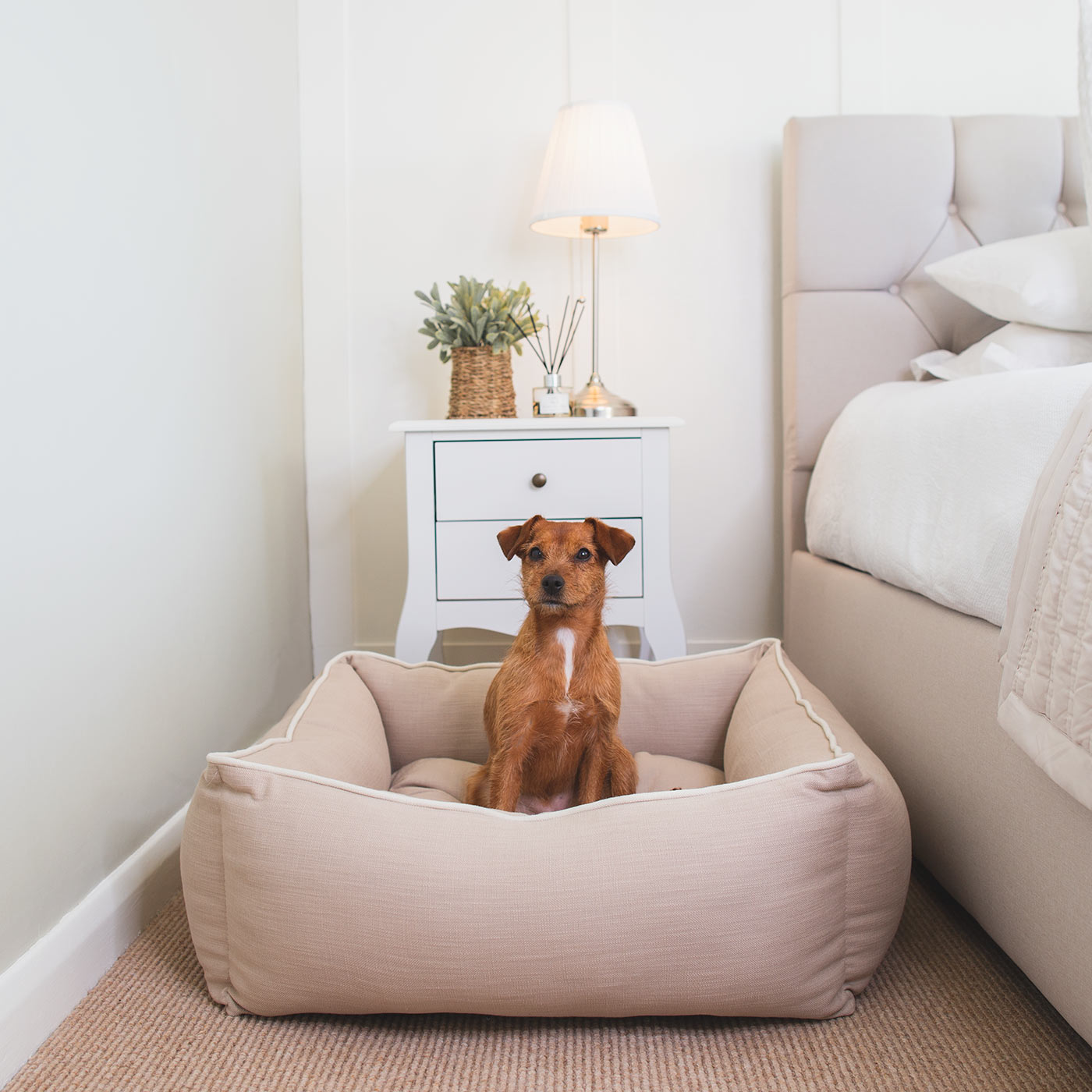 A dog bed shown from the front.