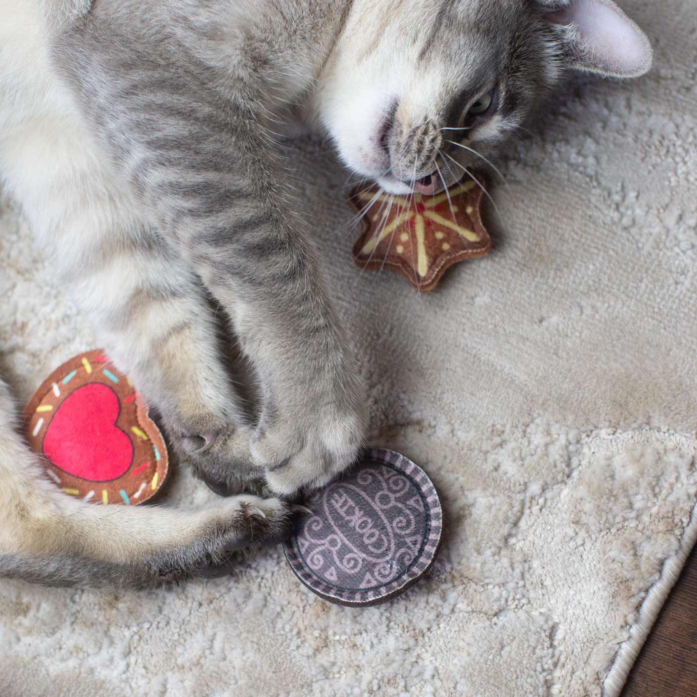 Christmas Cookie Selection with Catnip