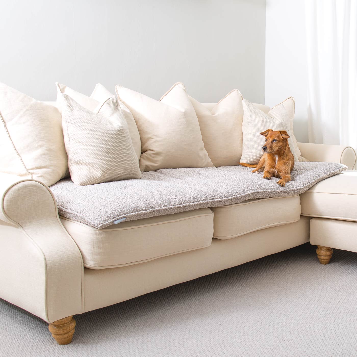 [colour:Mink boucle] Discover Our Luxury Boucle sofa Topper, The Perfect Pet sofa Accessory In Stunning Mink! Available Now at Lords & Labradors