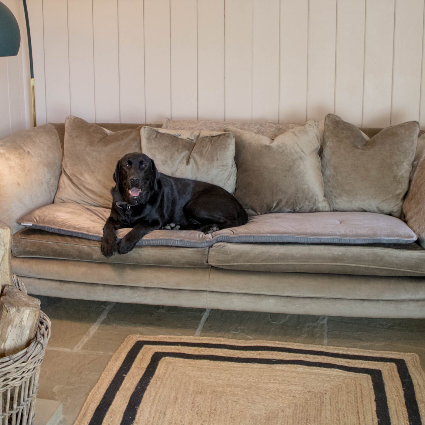 [colour:mink velvet] Discover Our Luxury Velvet sofa Topper, The Perfect Pet sofa Accessory In Stunning Mink Velvet! Available Now at Lords & Labradors