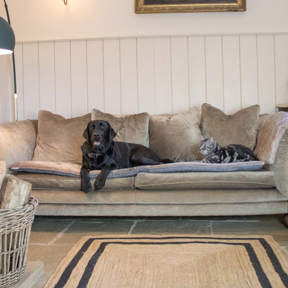 [colour:mink velvet]  Discover Our Luxury Velvet sofa Topper, The Perfect Pet sofa Accessory In Stunning Mink Velvet! Available Now at Lords & Labradors