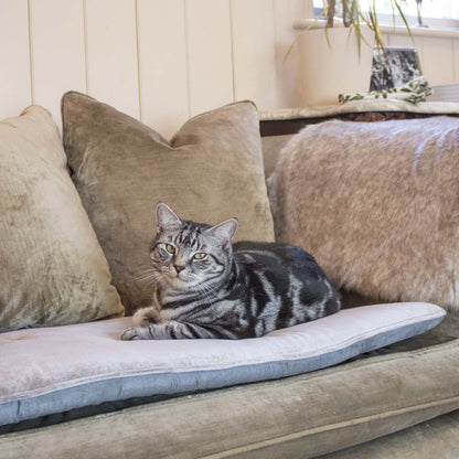 [colour:mink velvet]  Discover Our Luxury Velvet sofa Topper, The Perfect Pet sofa Accessory In Stunning Mink Velvet! Available Now at Lords & Labradors