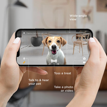 Petcube Bites 2 Lite Interactive Pet Camera With Treat Dispenser