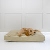 Dog Cushion in Savanna Olive by Lords & Labradors