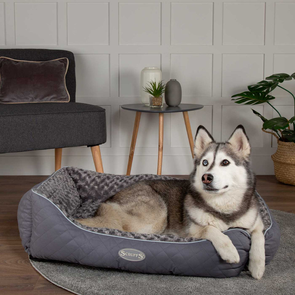 Scruffs Velvet Pet Bed Dog Beds Lords & Labradors