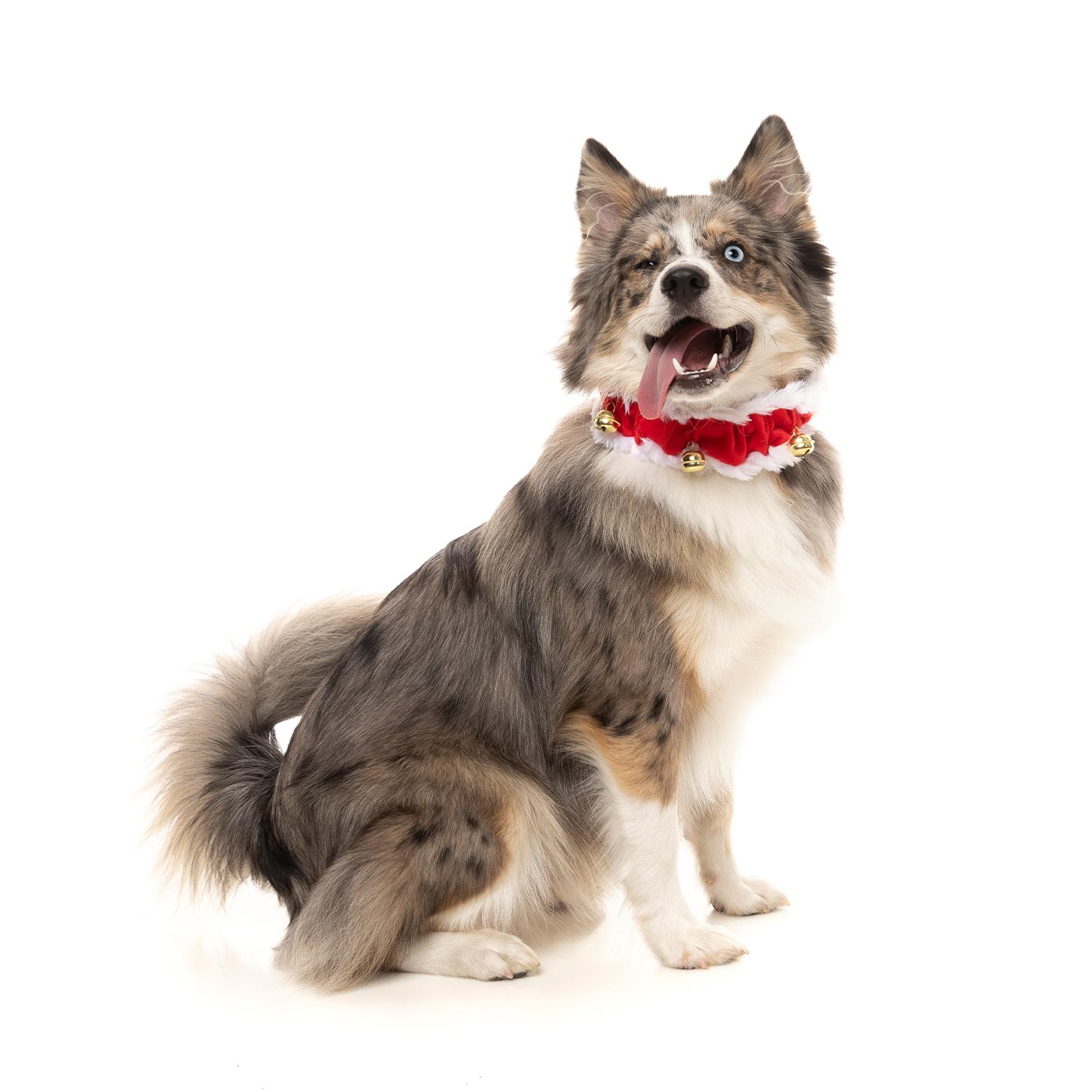 FuzzYard Jingle Bells Collar