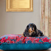 The Lounging Hound Animalia Pillow Bed