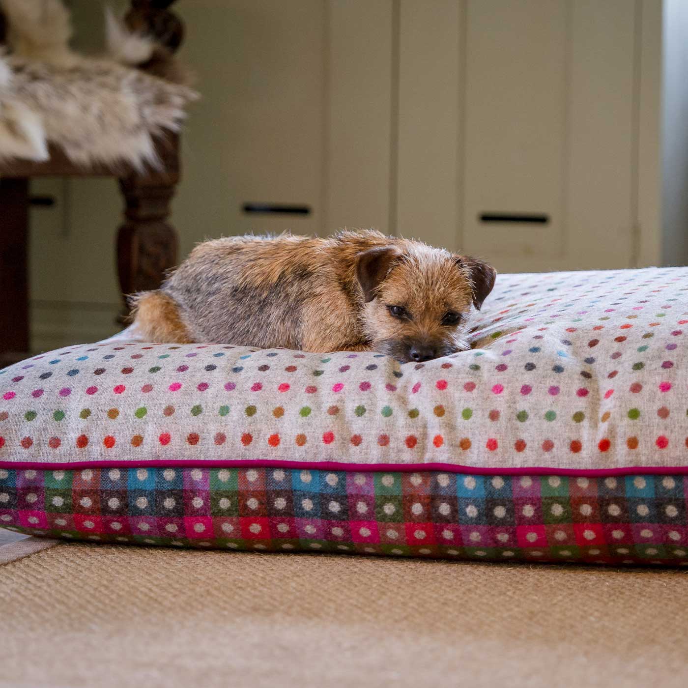 The Lounging Hound Multi Spot Wool Bed - Main Image