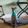 The Lounging Hound Plush Velvet Bed Roll
