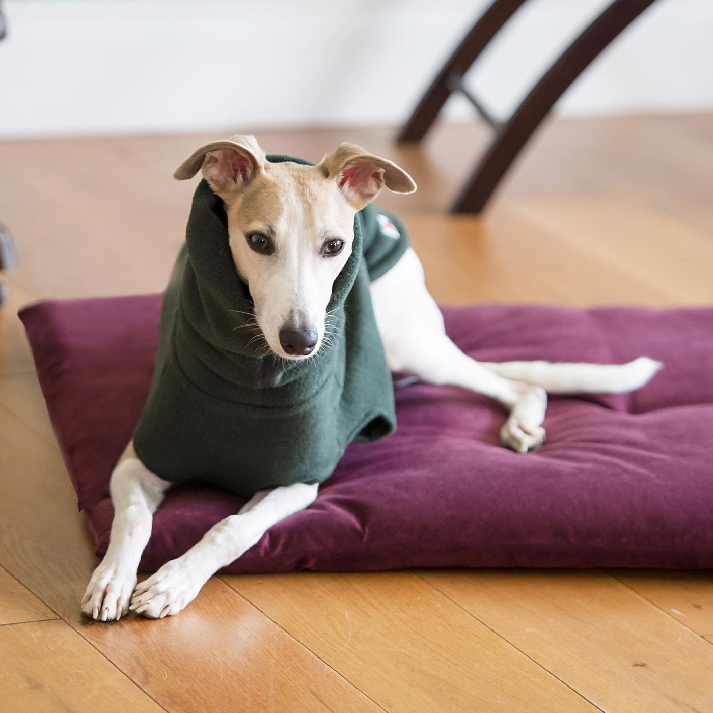 The Lounging Hound Plush Velvet Bed Roll - Main Image