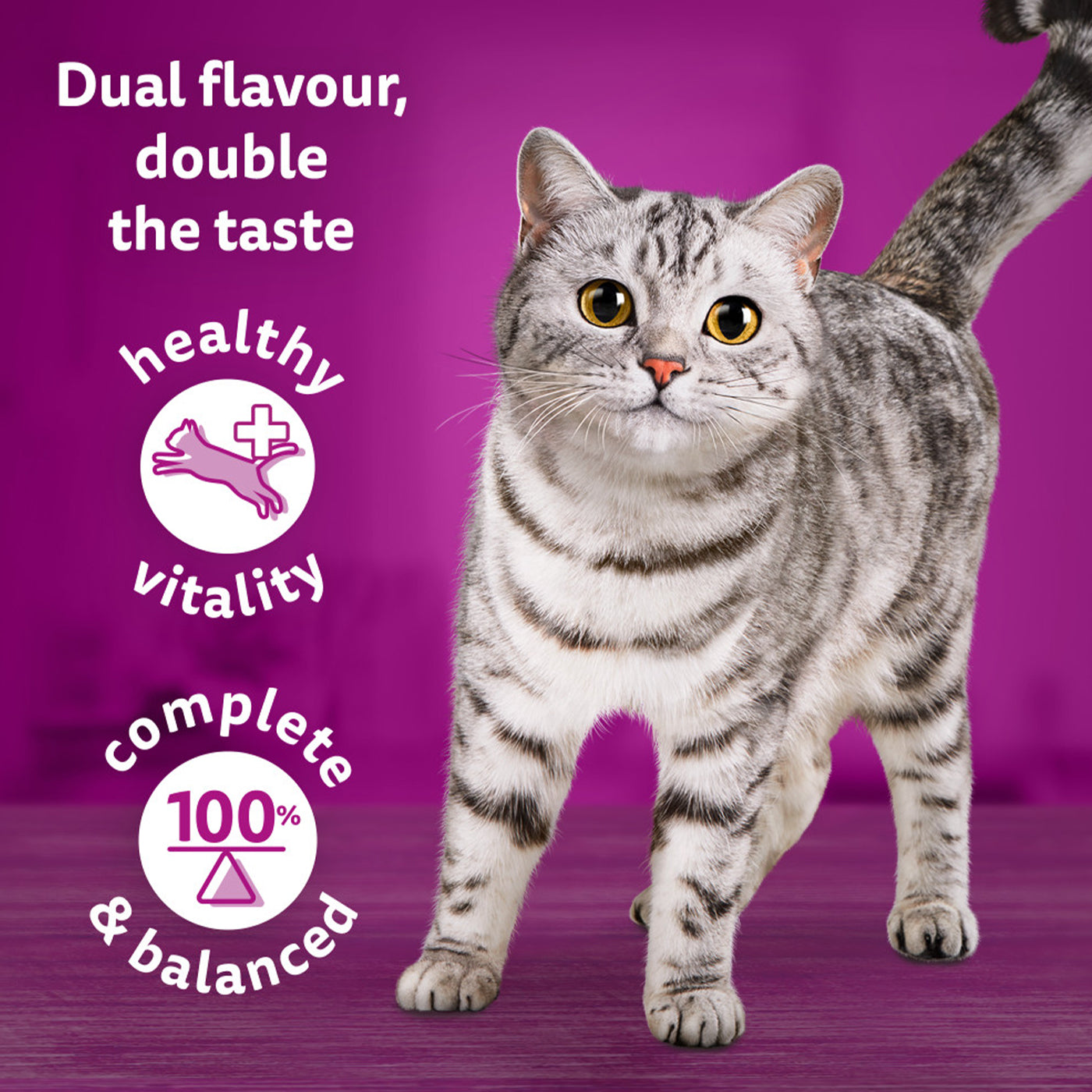Whiskas 1+ Cat Duo Surf & Turf in Jelly (12x85g)