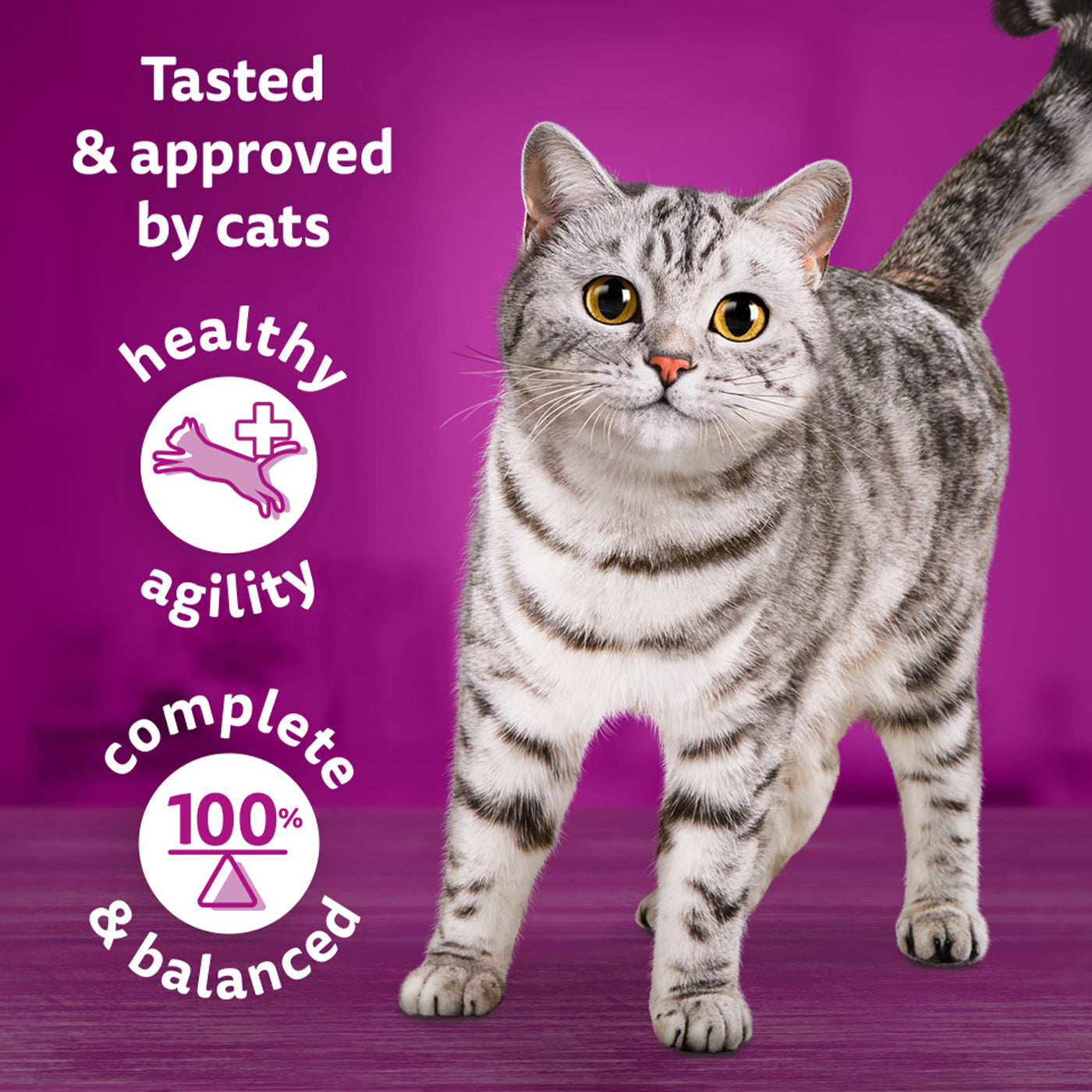 Whiskas 1+ Cat Tasty Mix Chef's Choice in Gravy (40x85g)