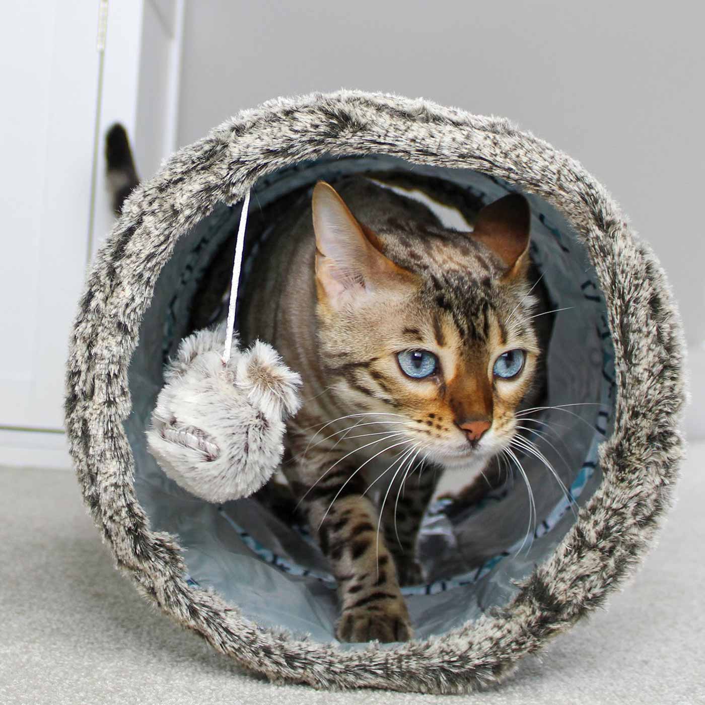 All For Paws Vintage Cat Tunnel