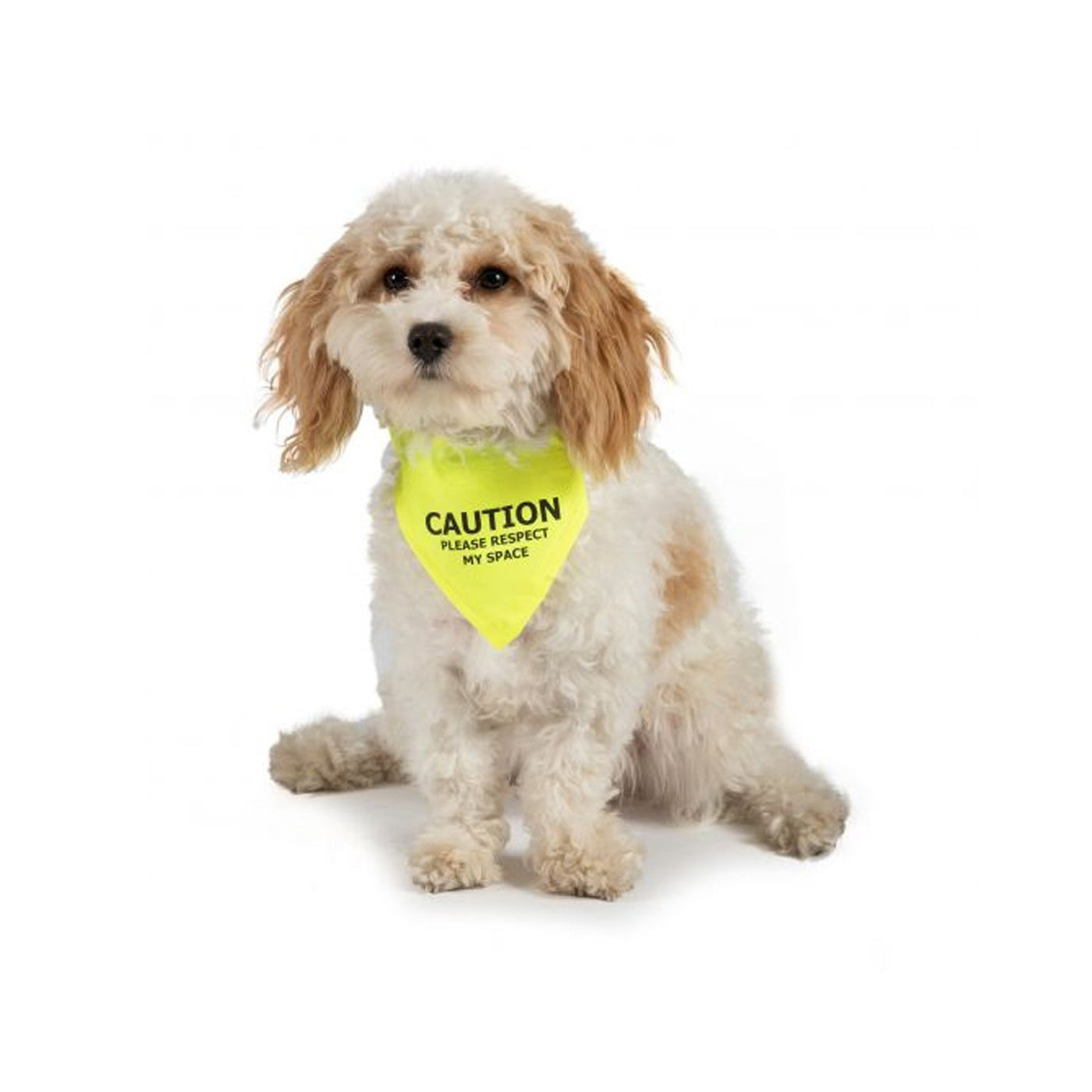 Reflective Dog Clothing