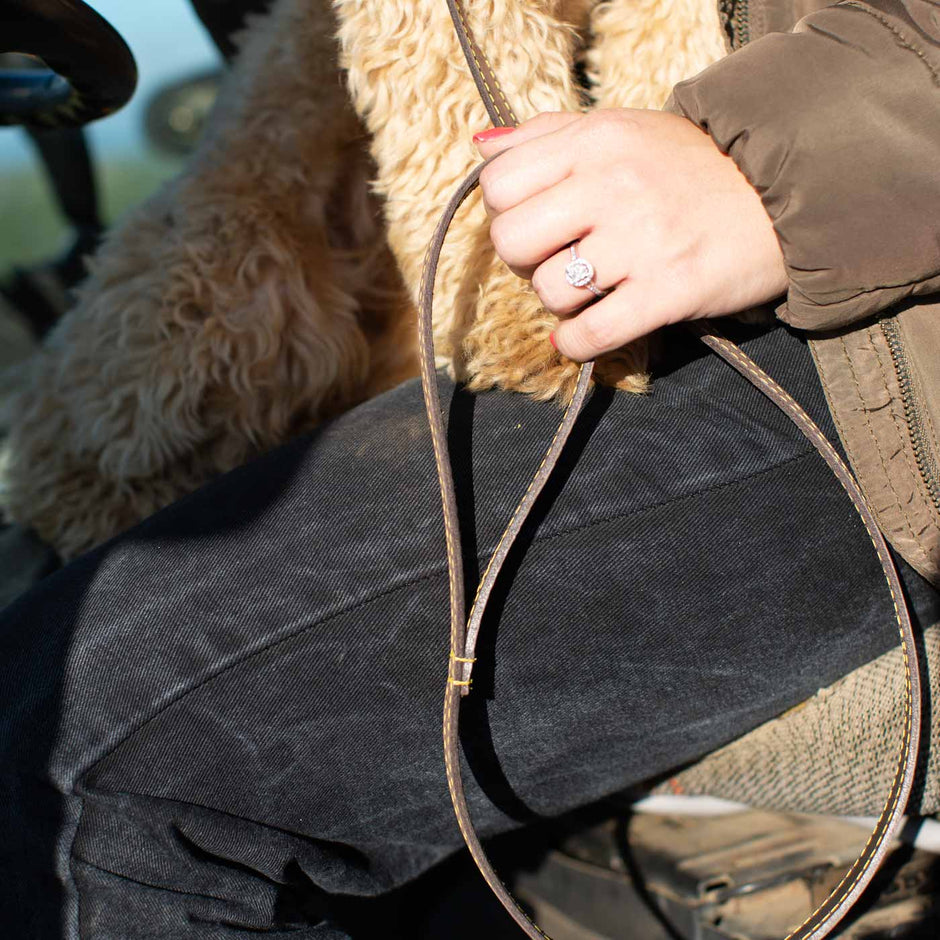 Dog Walking Accessories Bags, Wipes & Towels Lords & Labradors