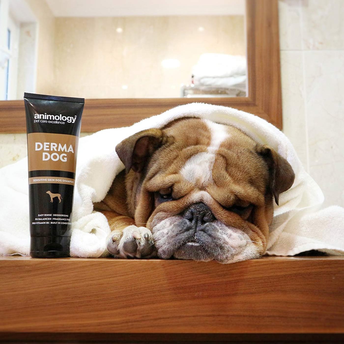Derm Dog Shapoo Derma Dog Shampoo | Animology Shampoo | Lords & Labradors