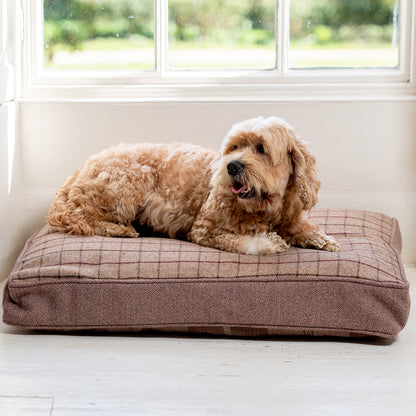 Cockapoo sitting on a Lords & Labradors Balmoral Twist Dog Cushion in Mulberry 