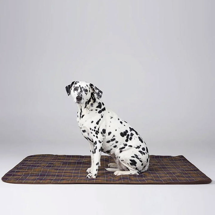 Travel Beds For Dogs Car Blankets For Dogs UK Lords & Labradors