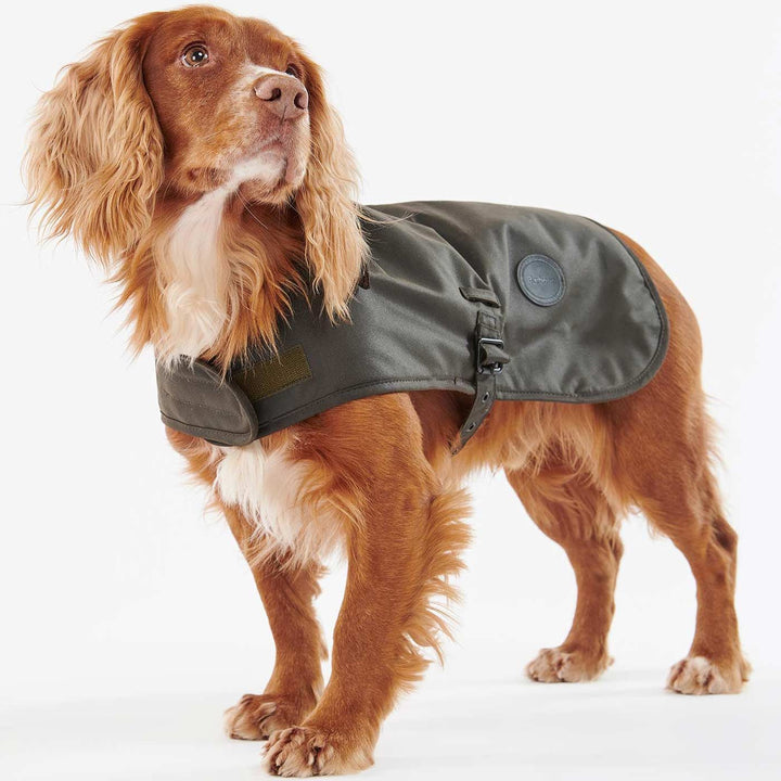 Designer Dog Coats Tweed & Waterproof Coats for Dogs Lords & Labradors