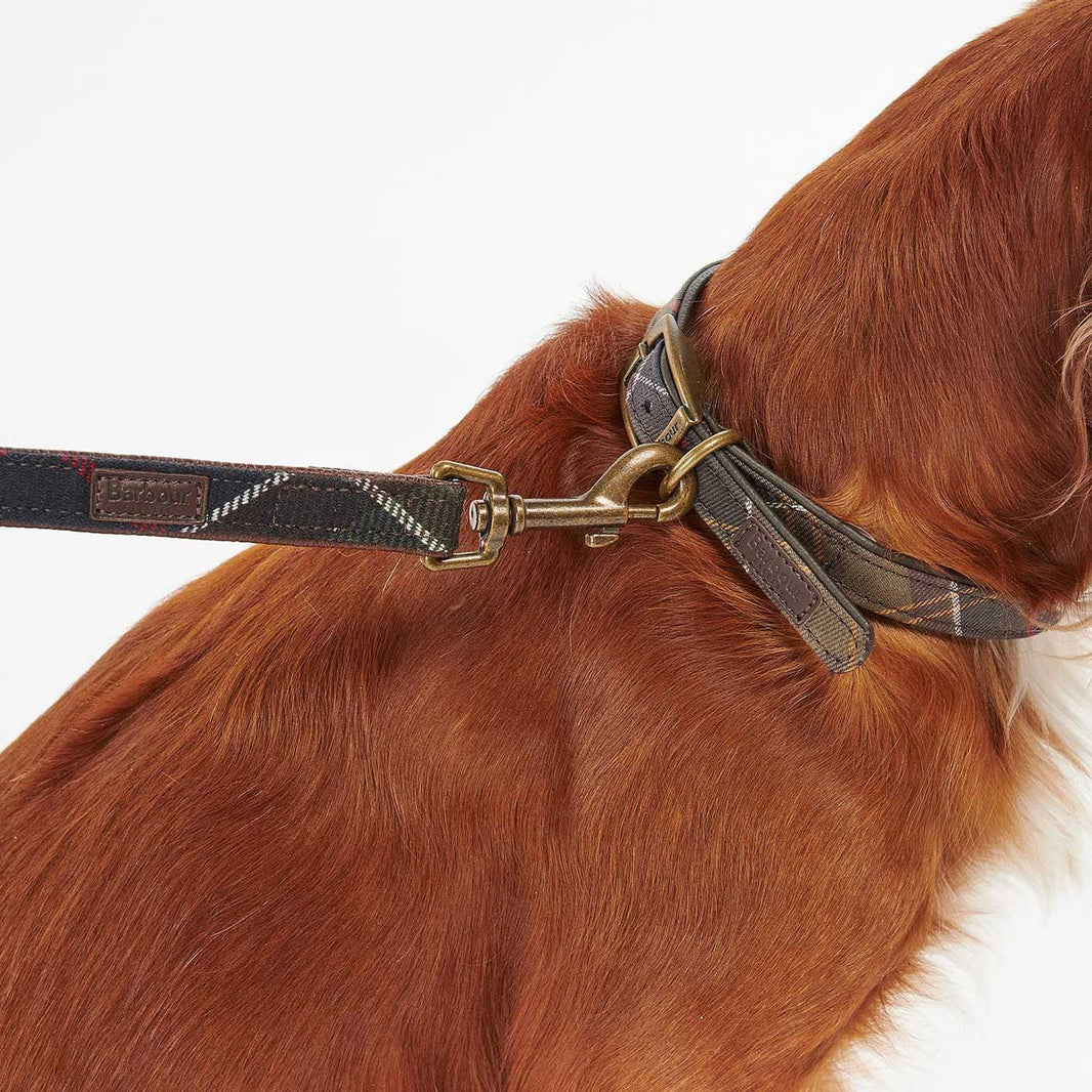 Tartan Dog Harness Barbour Lords & Labradors
