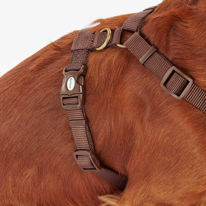 Barbour Travel & Exercise Dog Harness