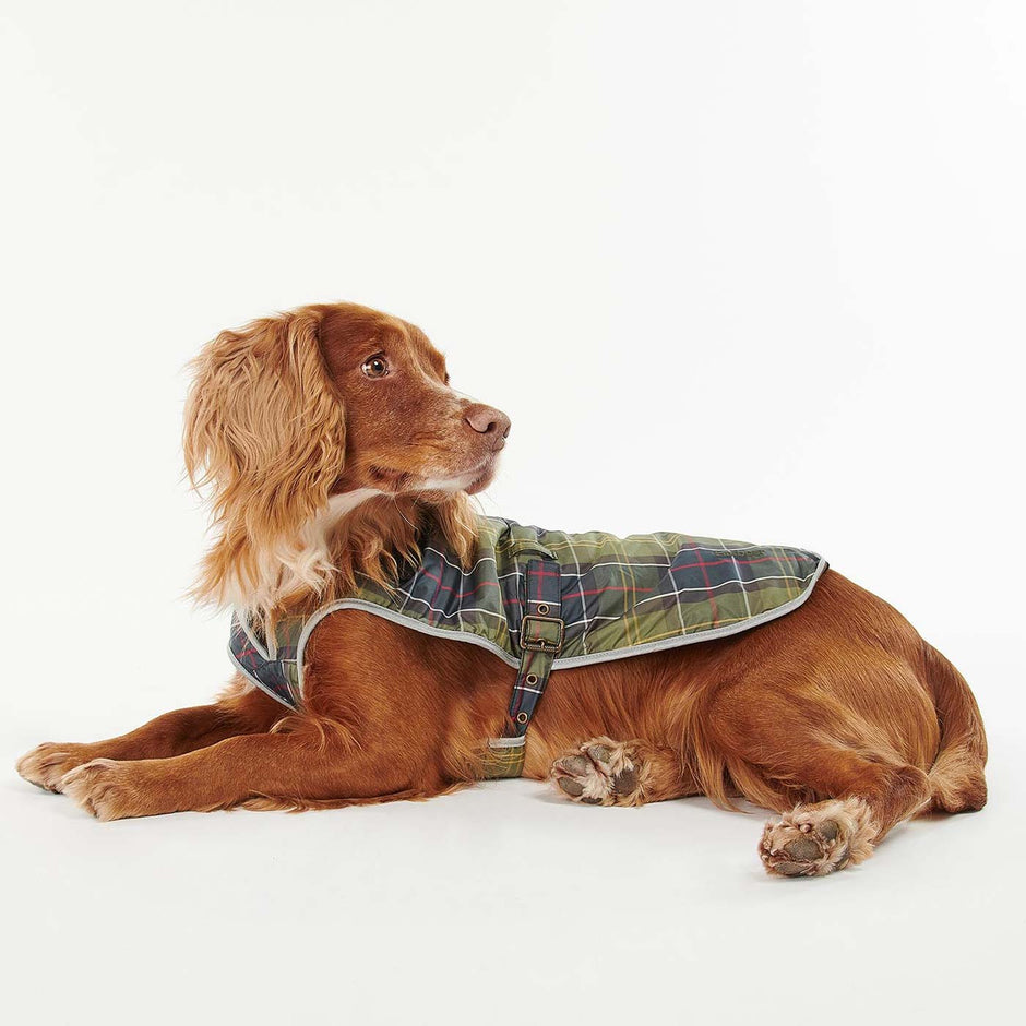 Designer Dog Coats Tweed & Waterproof Coats for Dogs Lords & Labradors