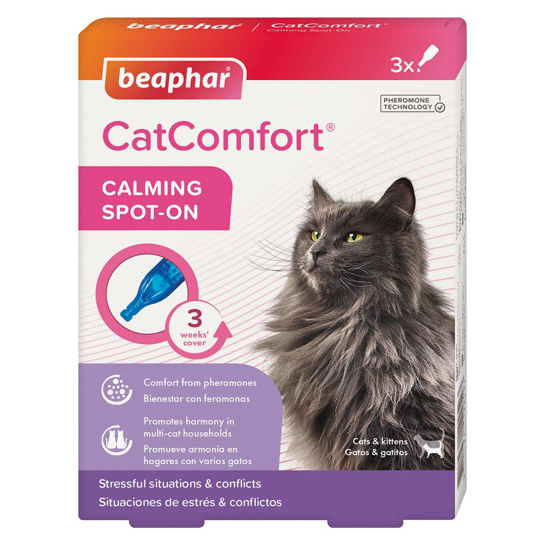 Do Cat Calming Products Work? L&L Info Hub Lords & Labradors