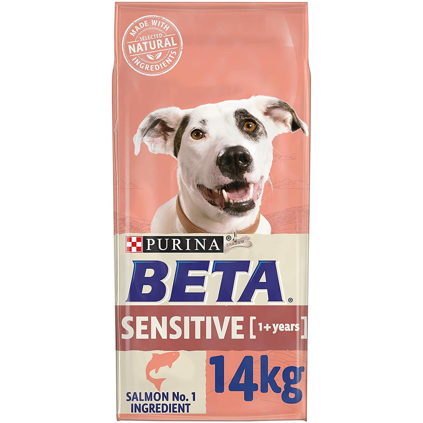 Purina Beta Adult Sensitive Dry Dog Food with Salmon 14KG