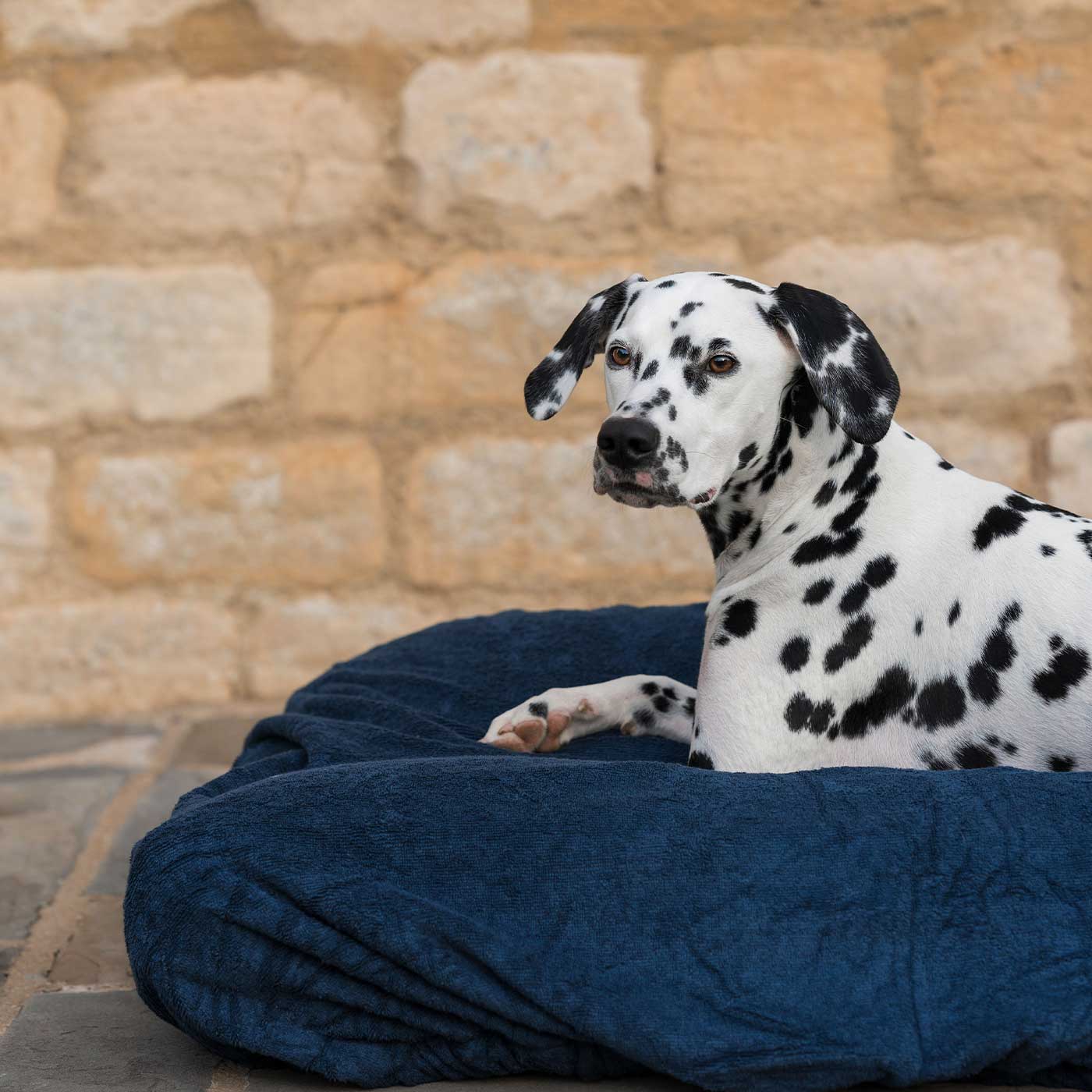 Introducing the ultimate bamboo dog drying cushion cover in beautiful Navy, made from luxurious bamboo to aid sensitive skin featuring elasticated hem for a snug fit with super absorbent material for easy pet drying! Available now at Lords & Labradors In three sizes and four colours to suit all breeds!