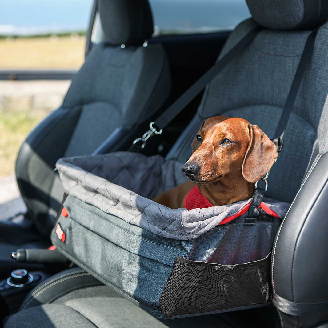 Travel Beds For Dogs Car Blankets For Dogs UK Lords & Labradors