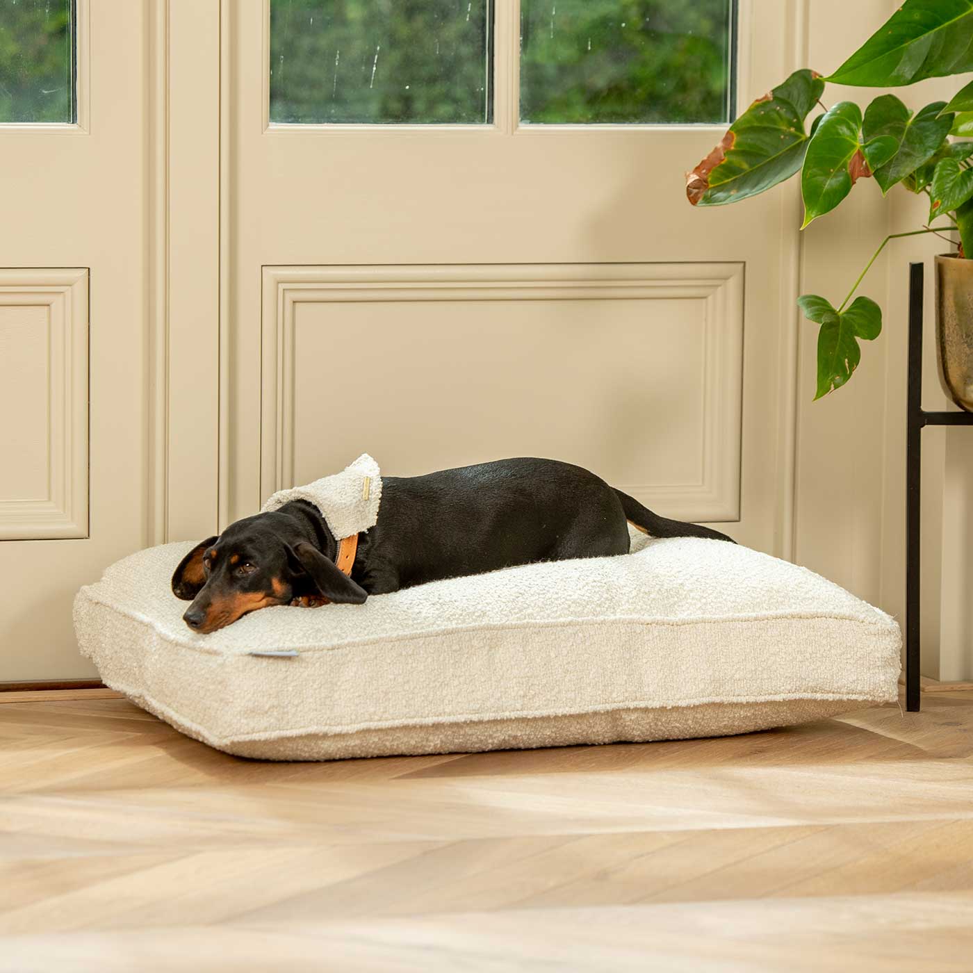 Luxury Dog Crate Cushion, Bouclé Crate Cushion Cover The Perfect Dog Crate Accessory, Available Now at Lords & Labradors