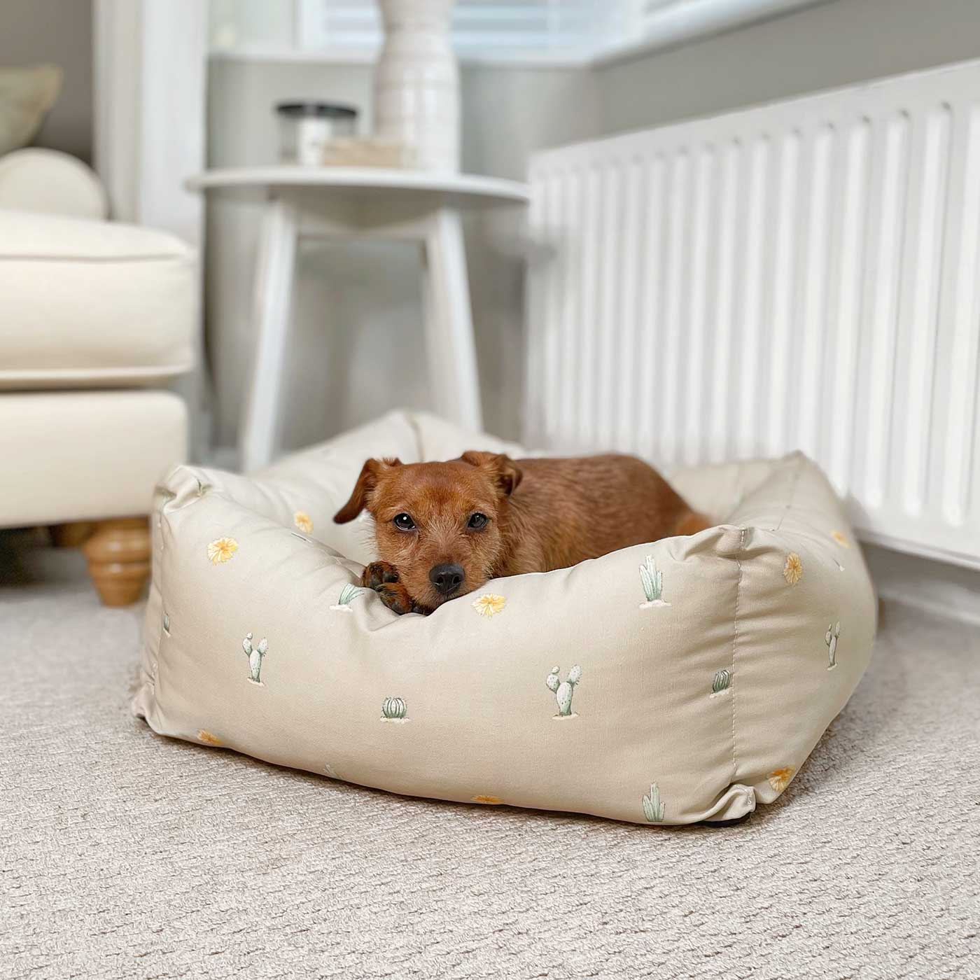 Box Bed For Dogs in Cactus by Lords & Labradors