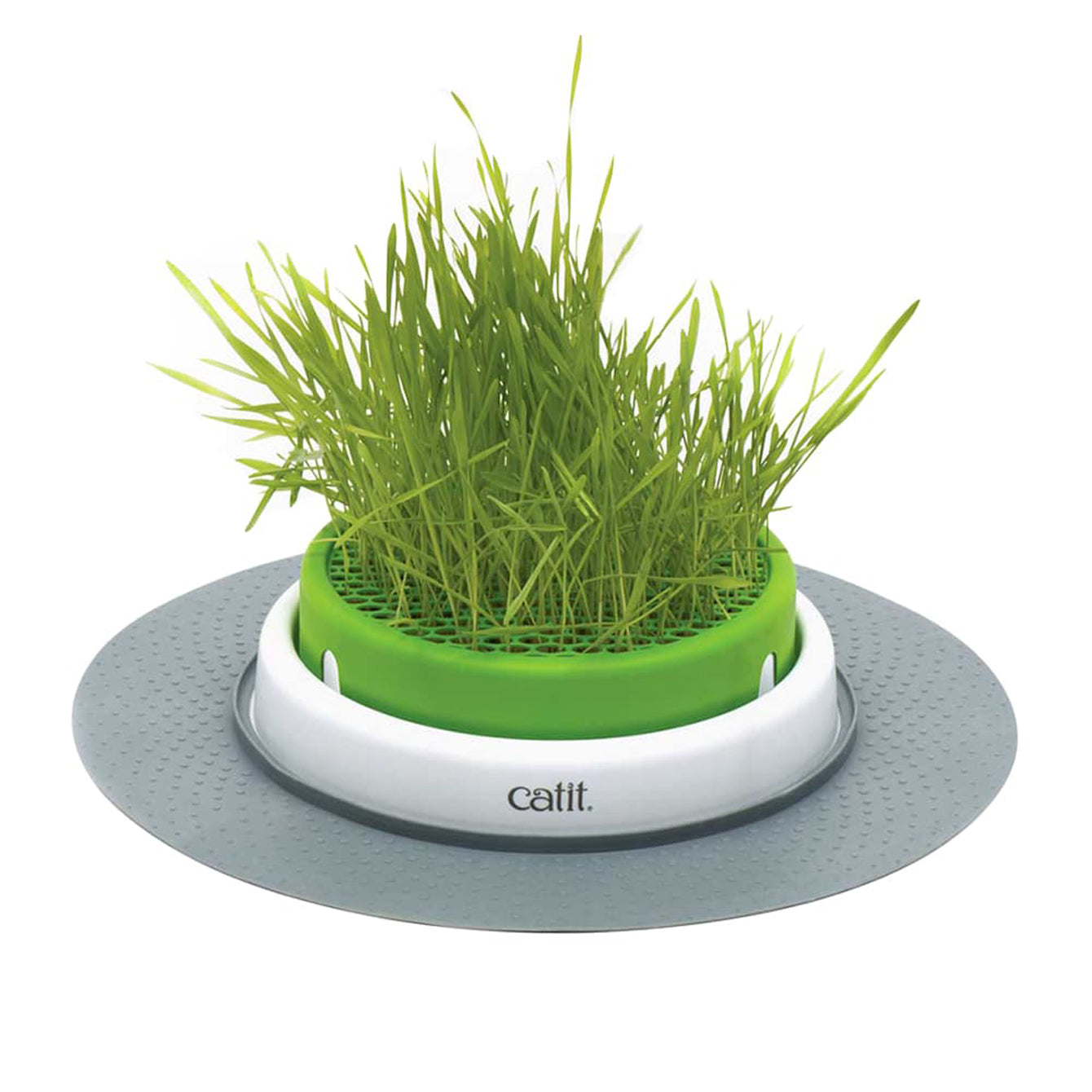 Catit Senses 2.0 Grass Planter to help with cat digestion