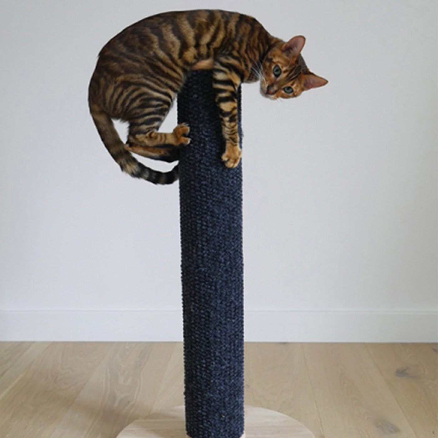 Catwalk Collection Turmeric Scratch Post