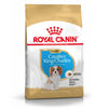 Royal Canin Cavalier King Charles Dry Puppy Food 1.5KG