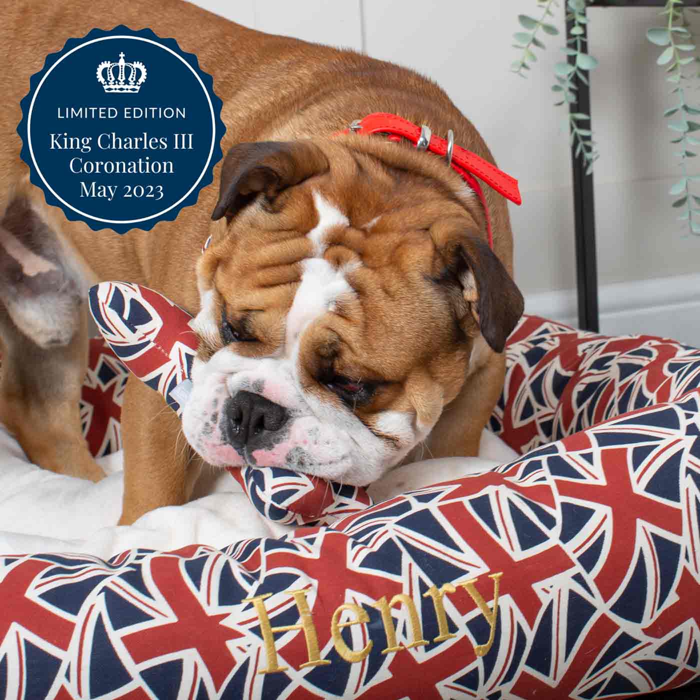 King's Coronation Box Bed For Dogs