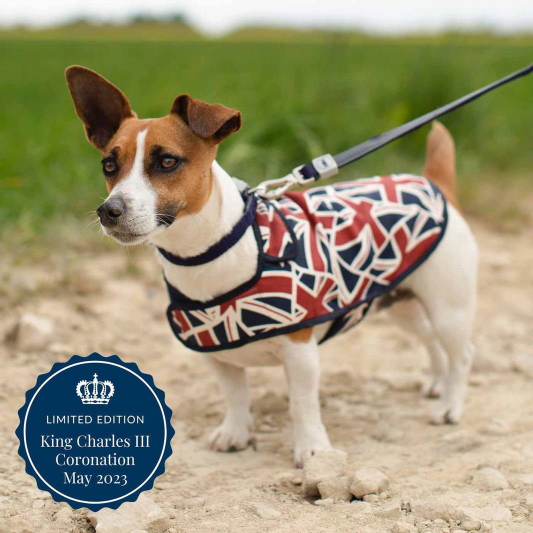 Designer Dog Coats Tweed & Waterproof Coats for Dogs Lords & Labradors