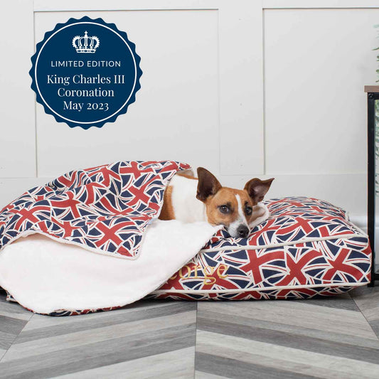 King's Coronation Dog & Puppy Blanket By Lords & Labradors